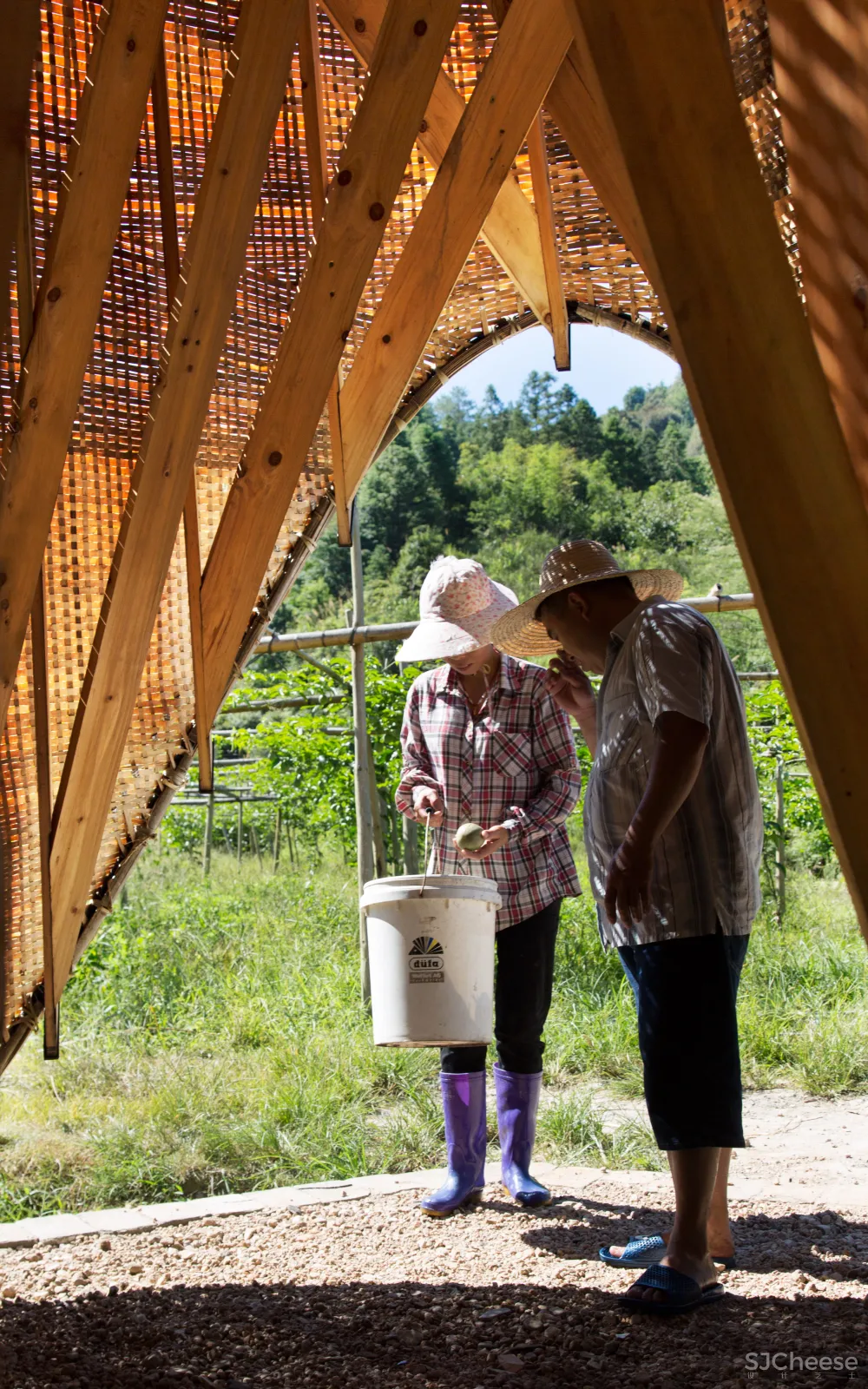 Students "reinvigorate" traditional bamboo weaving for Sun Room pavilion