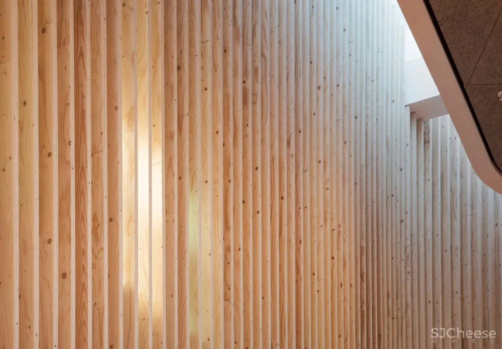 Vejle市精神病院,丹麦 / Arkitema Architects