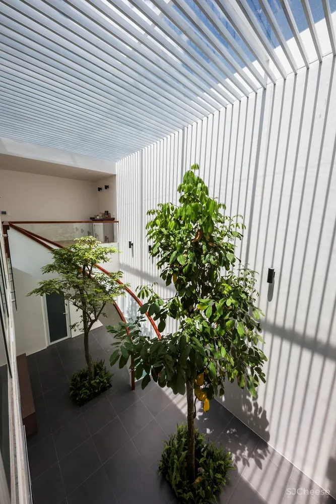 T家住宅 / Creative 建筑事务所