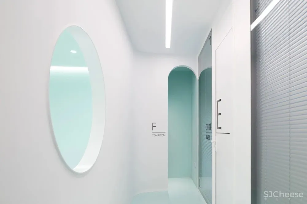 首发 | 我们和洛园一起,做了一个薄荷味的梦