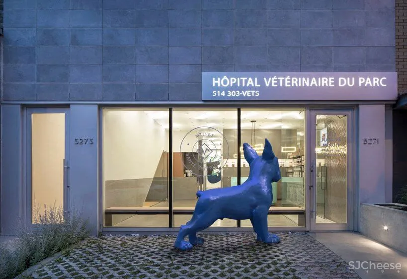 蒙特利尔废弃照相馆改造兽医医院和住宅设计