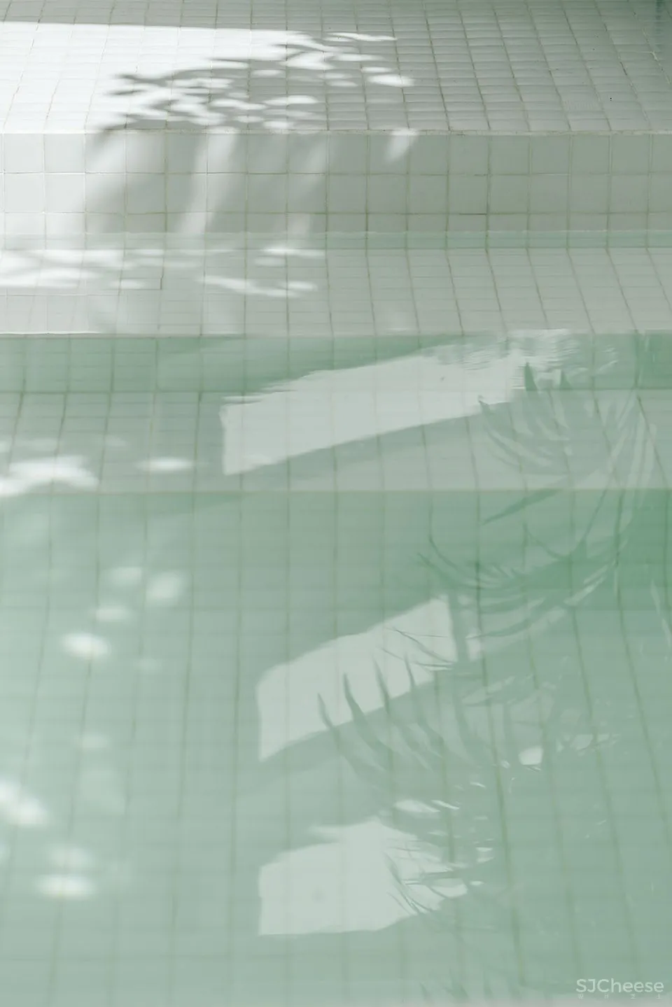 G住宅，马德里 / gon Architects 首