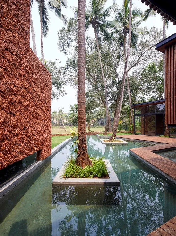 棕榈住宅 / Abraham John Architects