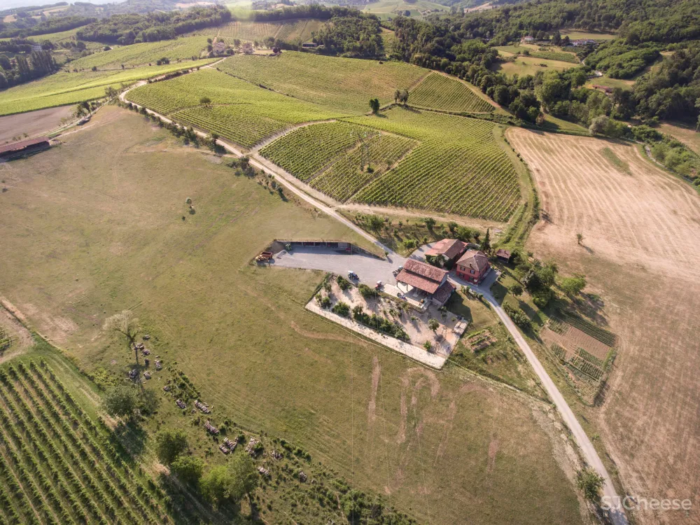 Deamicisarchitetti submerges concrete machinery depot into hillside