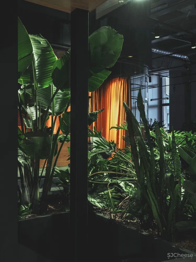 PETSHOP office / PAUM design 首