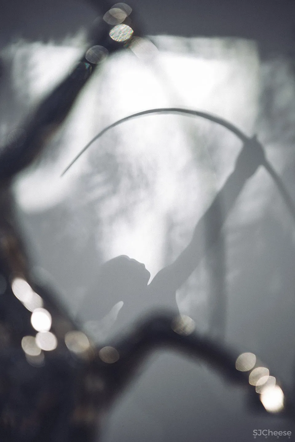 DPD | 广州斑影盒子:「俩」生活研究所 首