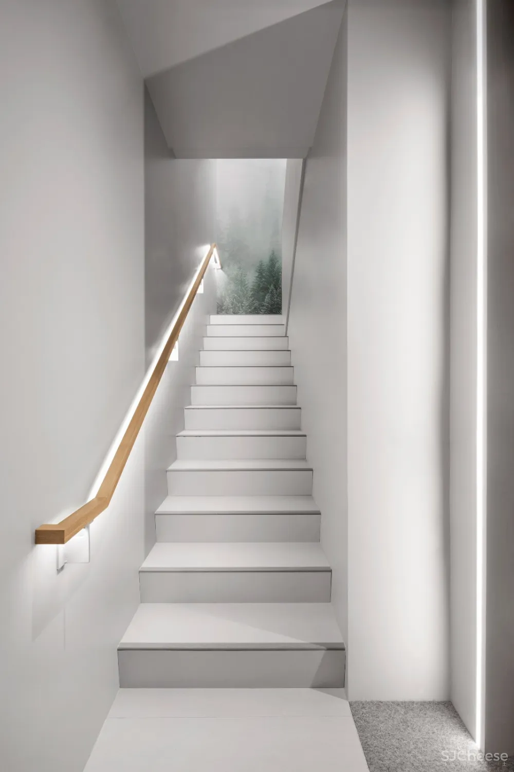 TBA:色彩舒缓的兽医诊所 首