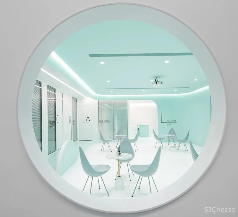 首发 | 我们和洛园一起,做了一个薄荷味的梦