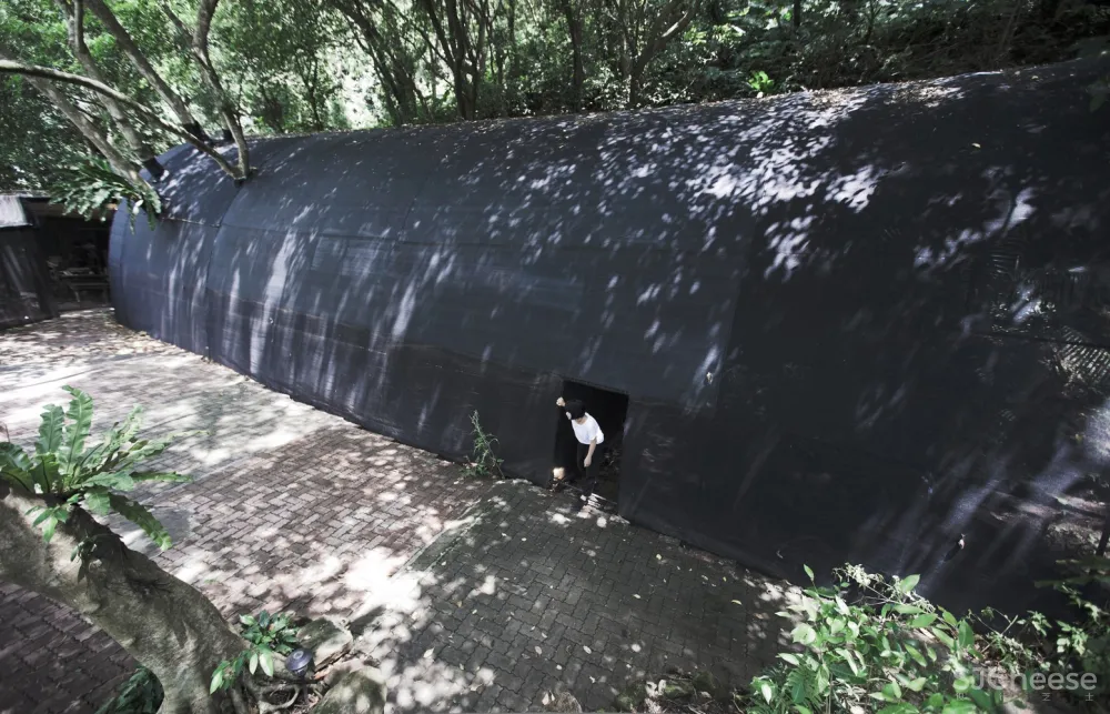 自然治愈系 / DIVOOE ZEIN Architects 首