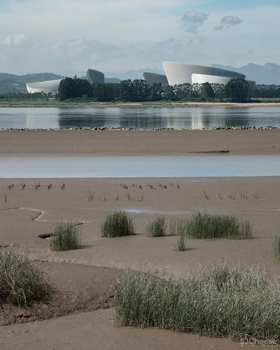 福州海峡文化艺术中心 / PES-Architects 首