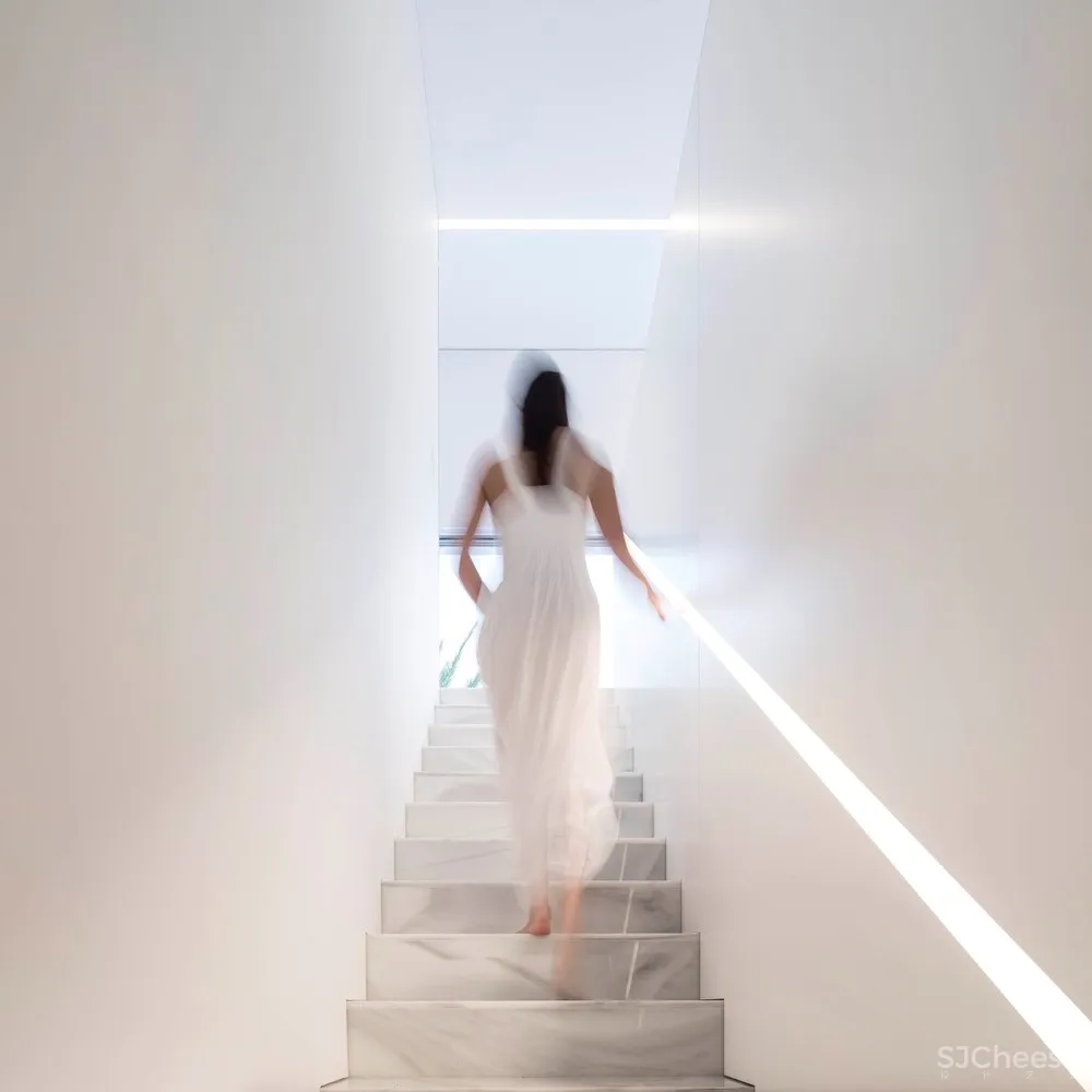 Fran Silvestre Arquitectos:远眺大海 Hofmann House 首