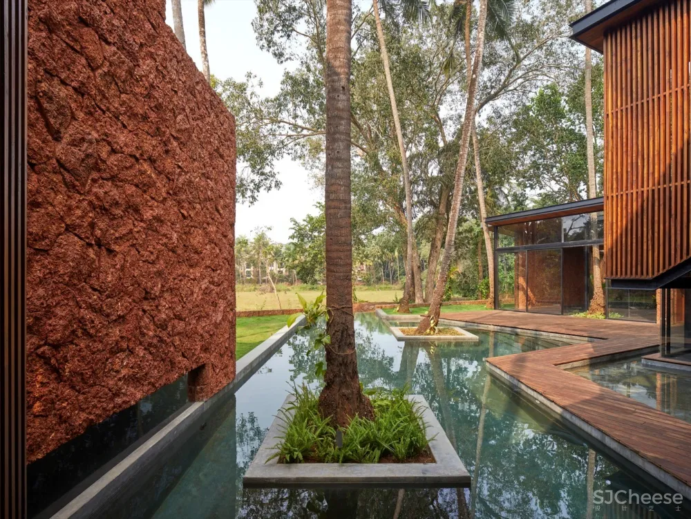 棕榈住宅 / Abraham John Architects