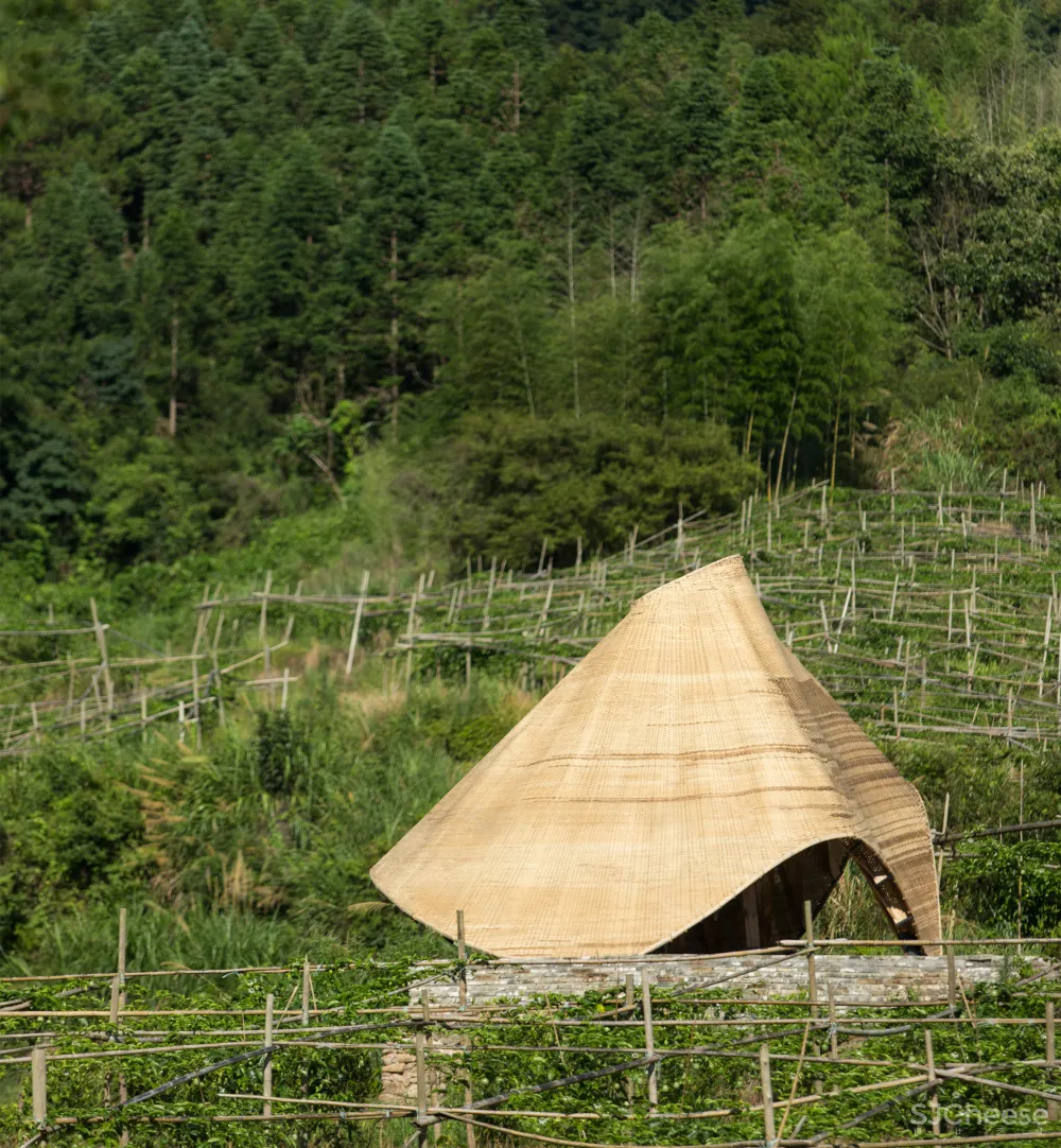 Students "reinvigorate" traditional bamboo weaving for Sun Room pavilion