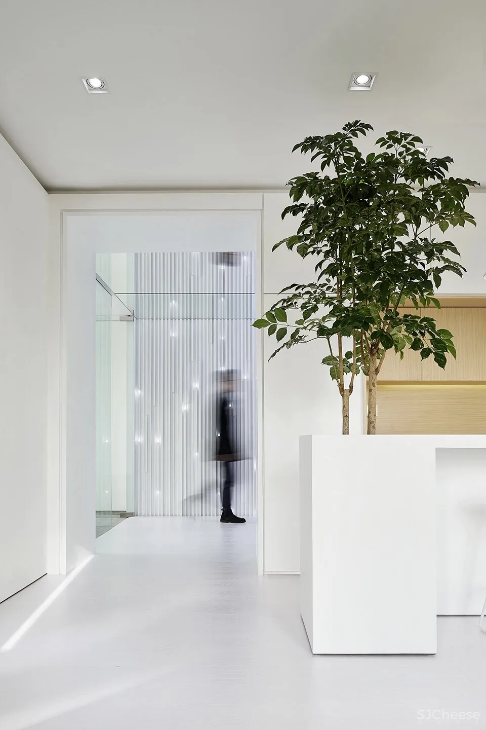 盒中绿意，上海 ： 目心设计研究室 首