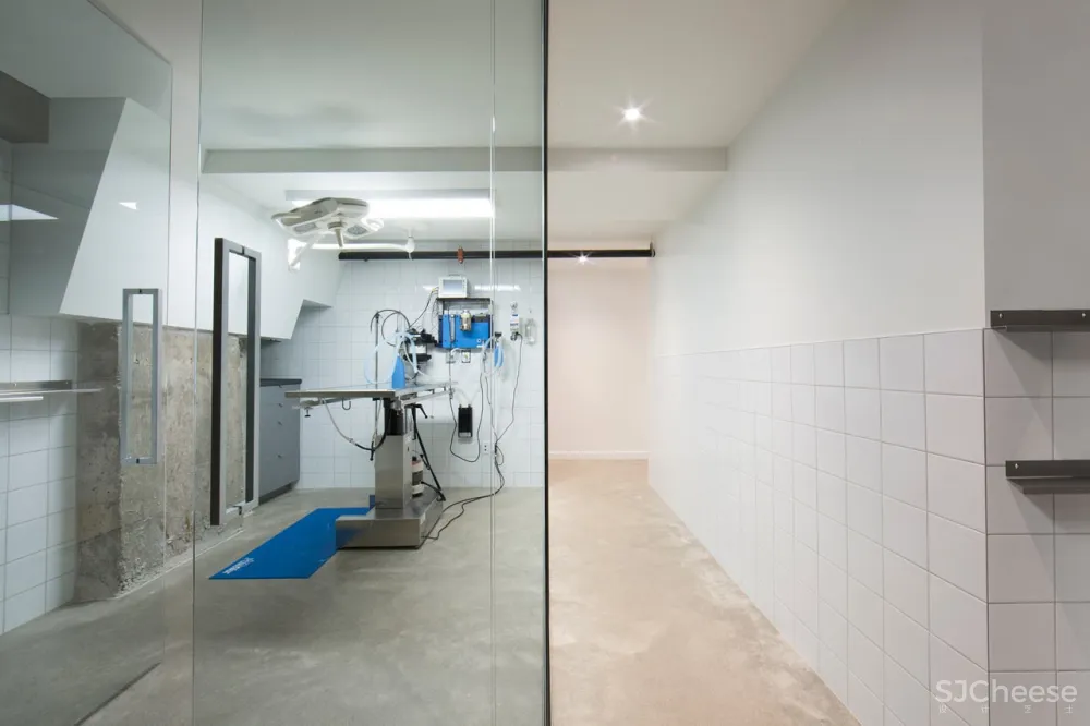 TBA:色彩舒缓的兽医诊所 首