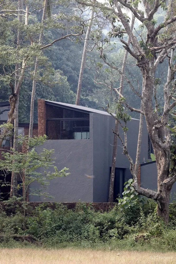 棕榈住宅 / Abraham John Architects