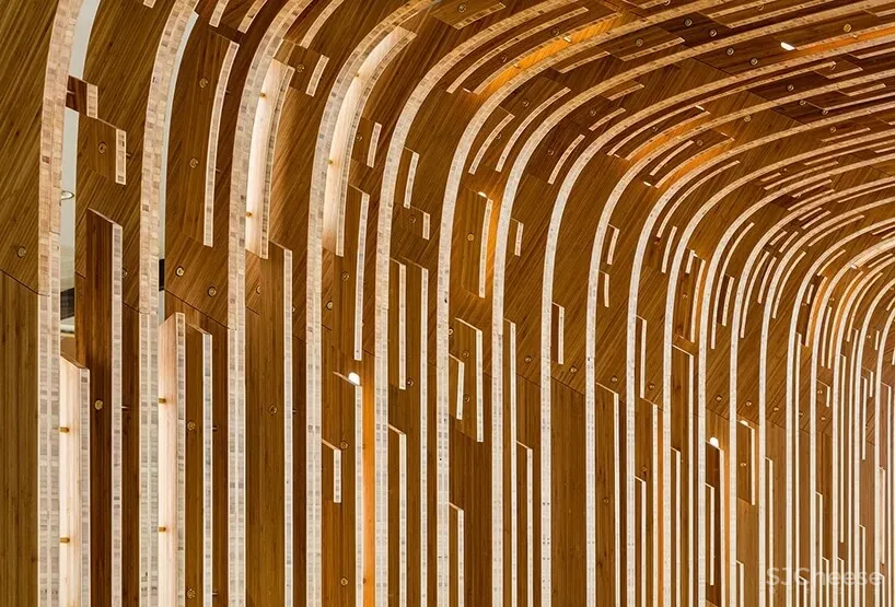 daewha kang设计公司实验性办公室设计