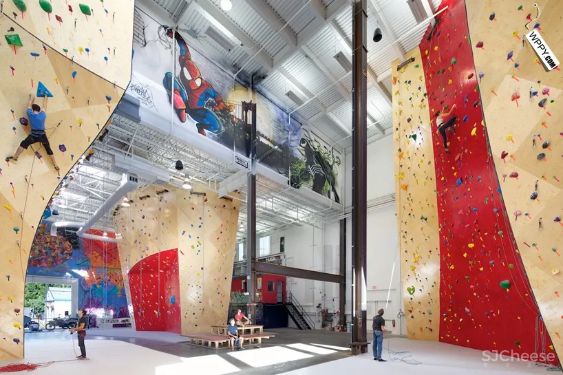 [健身馆] brooklyn boulders coworking space features towering rock climbing wall