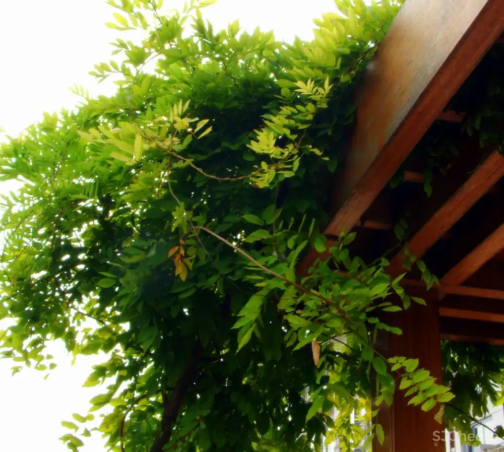 金螳螂 太湖干部疗养院