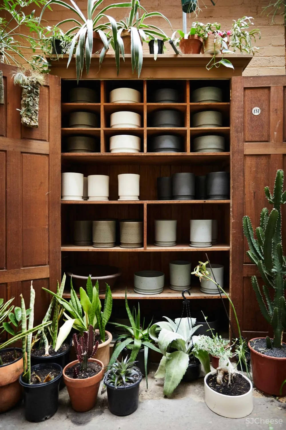 THE PLANT SOCIETY 植物协会新旗舰店