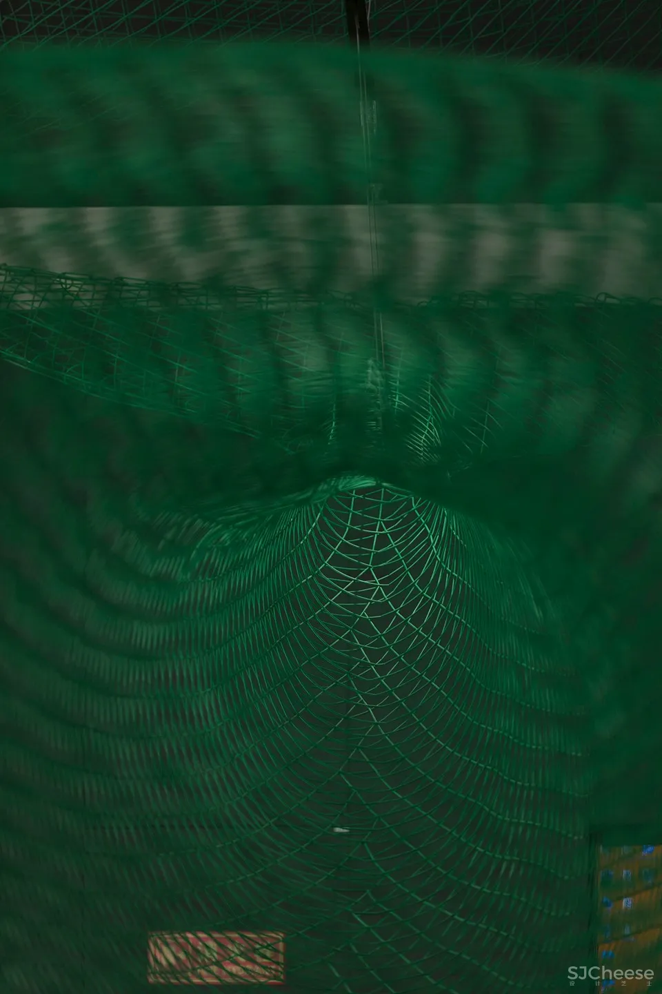 东仓建设:全球首家超级旗舰店·Whale 首