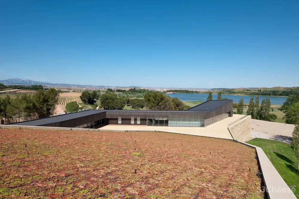 winery la grajeralogronola rioja spain