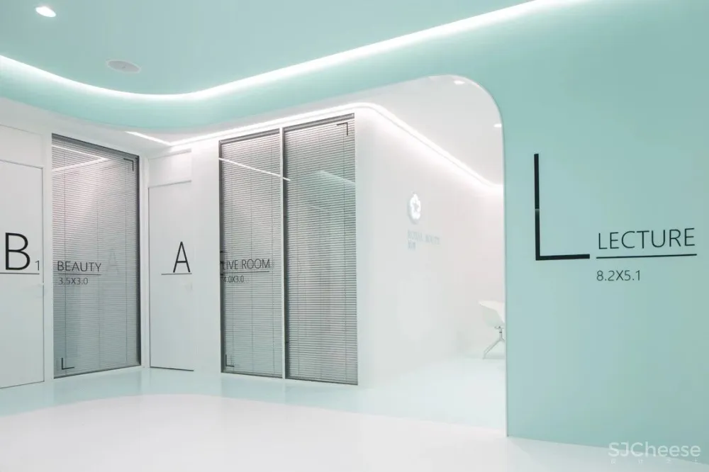 首发 | 我们和洛园一起,做了一个薄荷味的梦