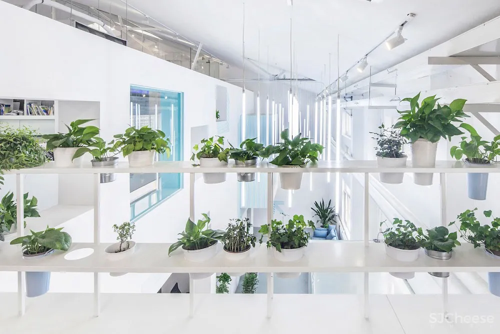 清新海狸工坊办公空间 | 张淼建筑设计事务所 首