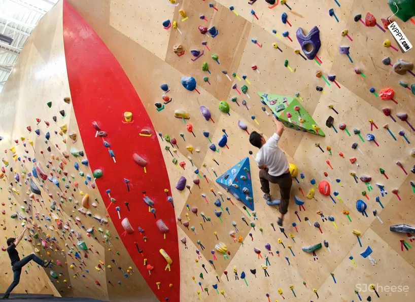 [健身馆] brooklyn boulders coworking space features towering rock climbing wall