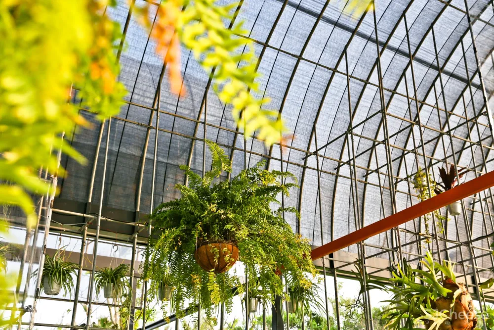 桃园温室之家,以气候组织空间 / BIAS Architects