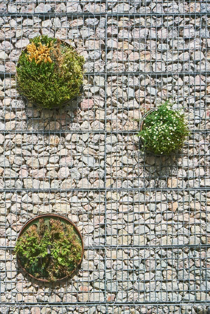 Miel Arquitectos 日光花园景观住宅