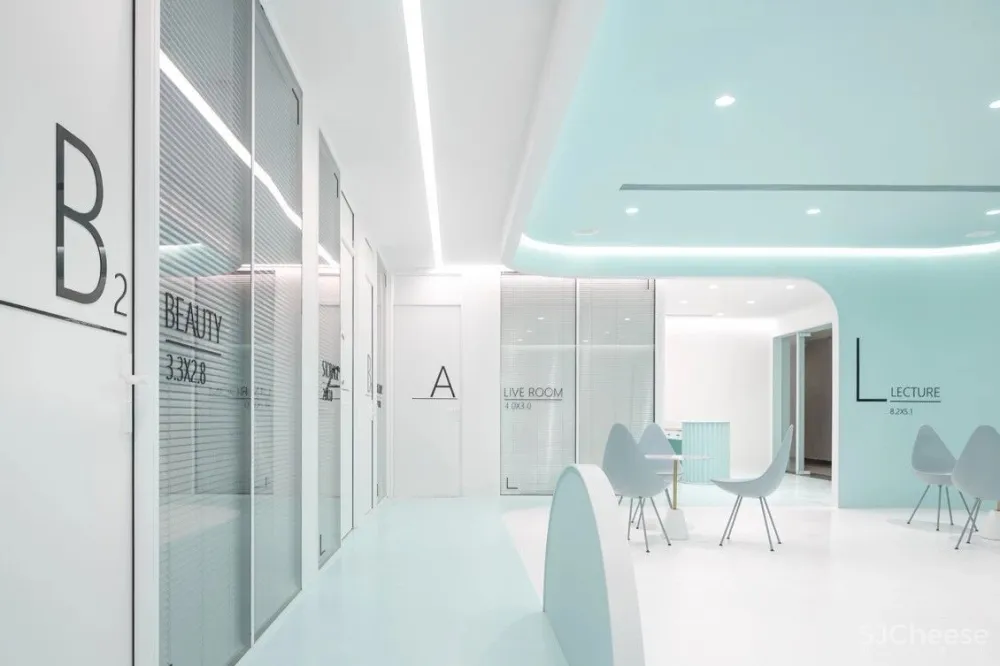 首发 | 我们和洛园一起,做了一个薄荷味的梦