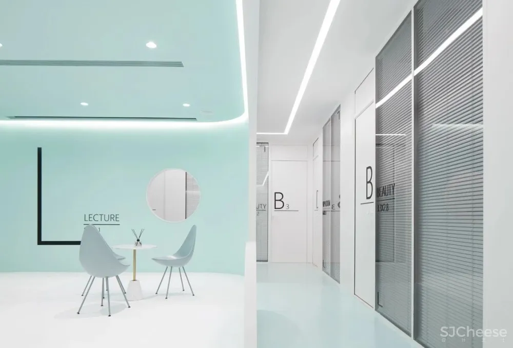 首发 | 我们和洛园一起,做了一个薄荷味的梦