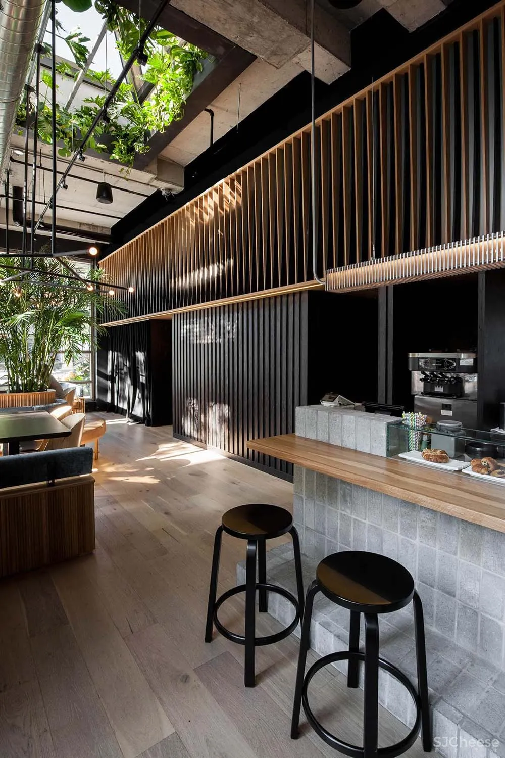 蒙特利尔Ryu日本连锁餐厅