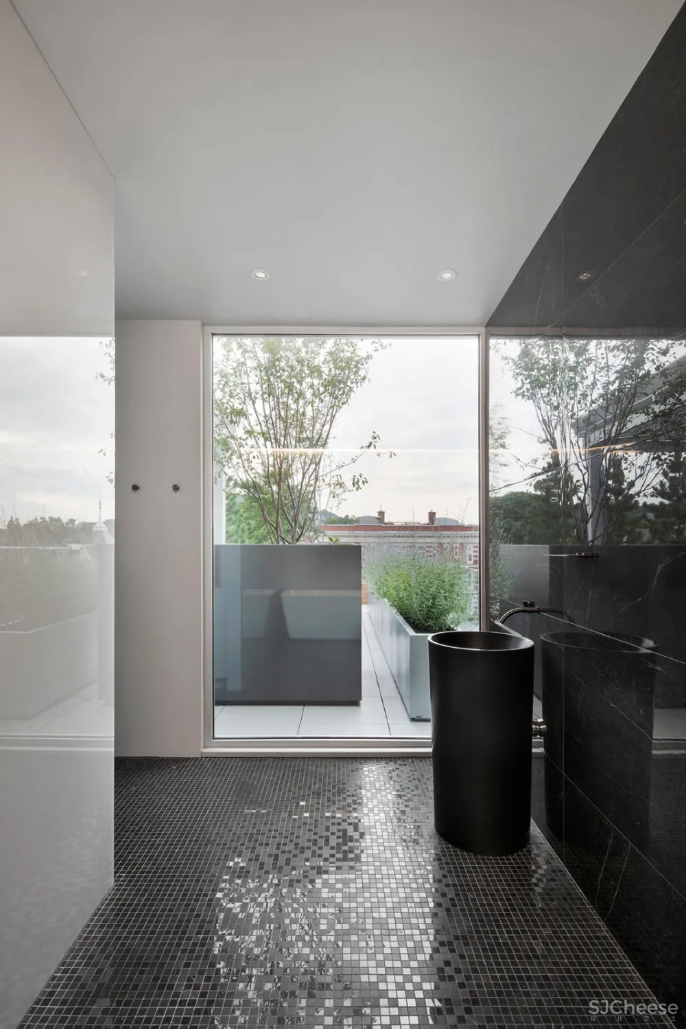 TBA:色彩舒缓的兽医诊所 首