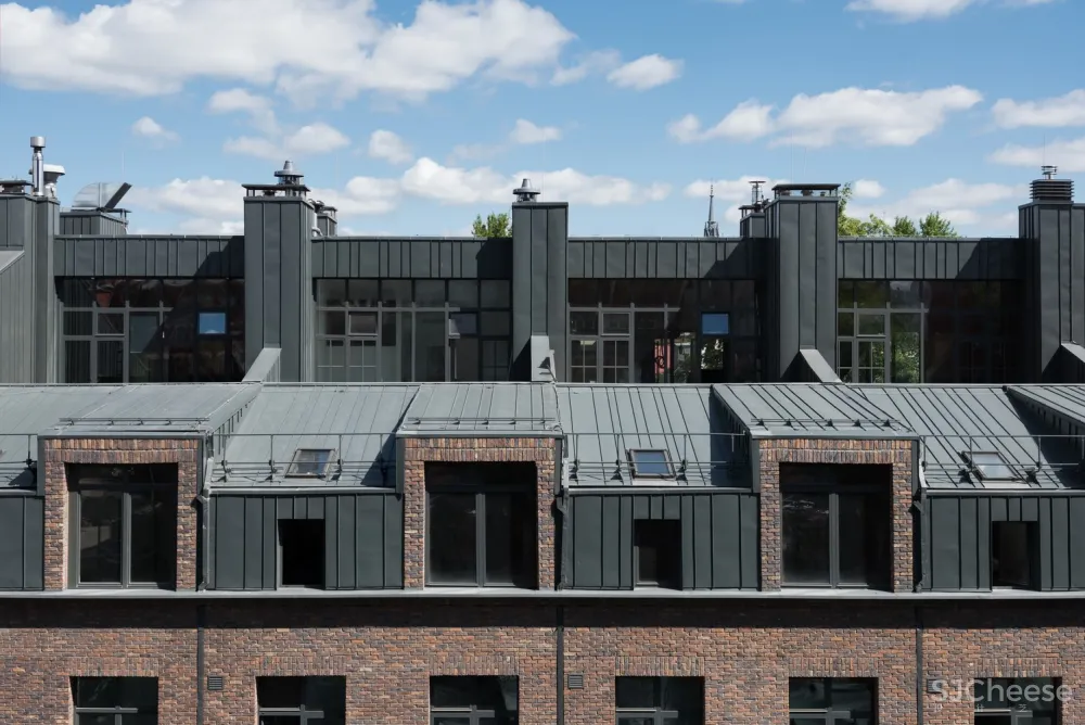 夹层公寓改造 / DNK ag