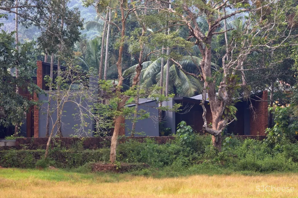 棕榈住宅 / Abraham John Architects