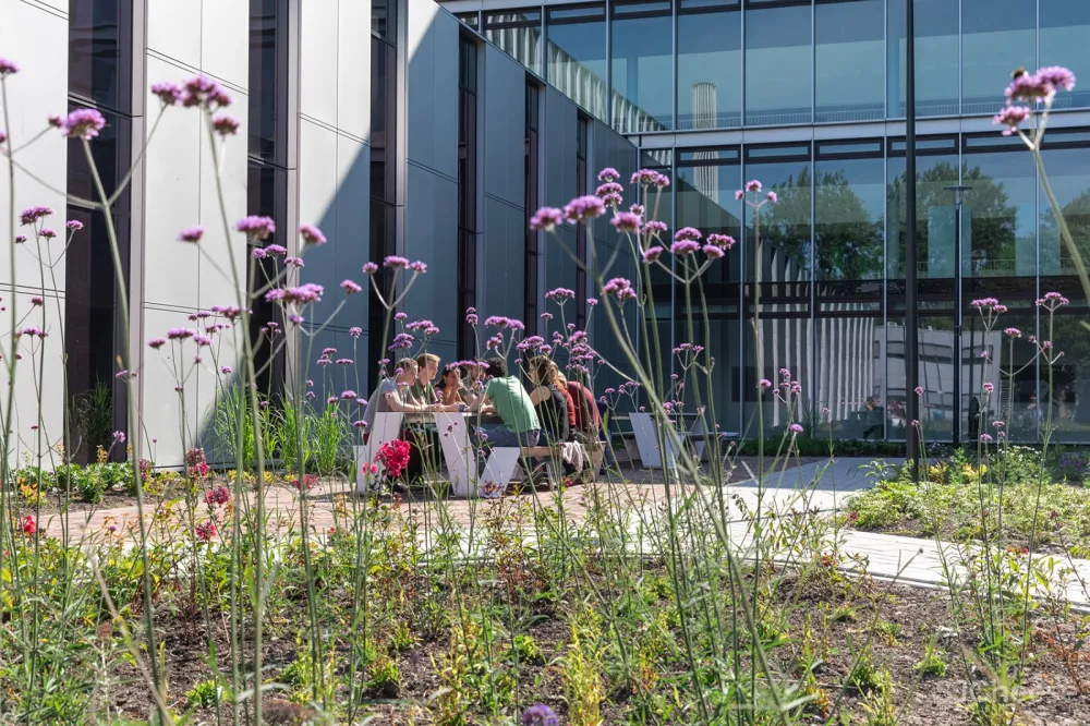 莱顿大学贝塔园区,荷兰 / 瑛泊