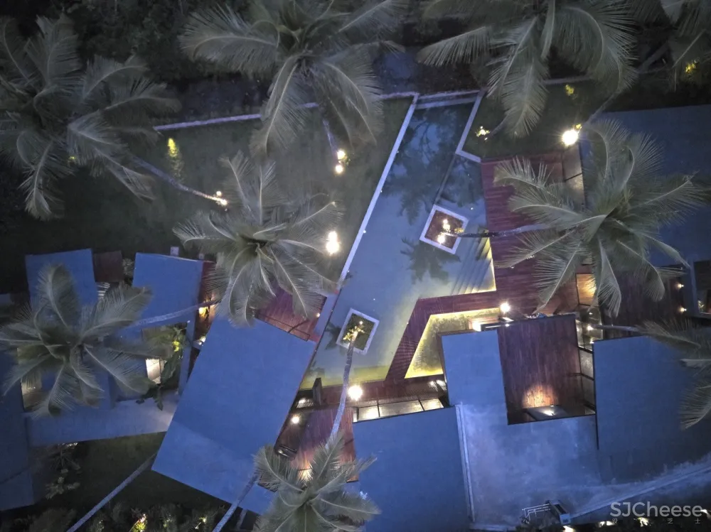 棕榈住宅 / Abraham John Architects