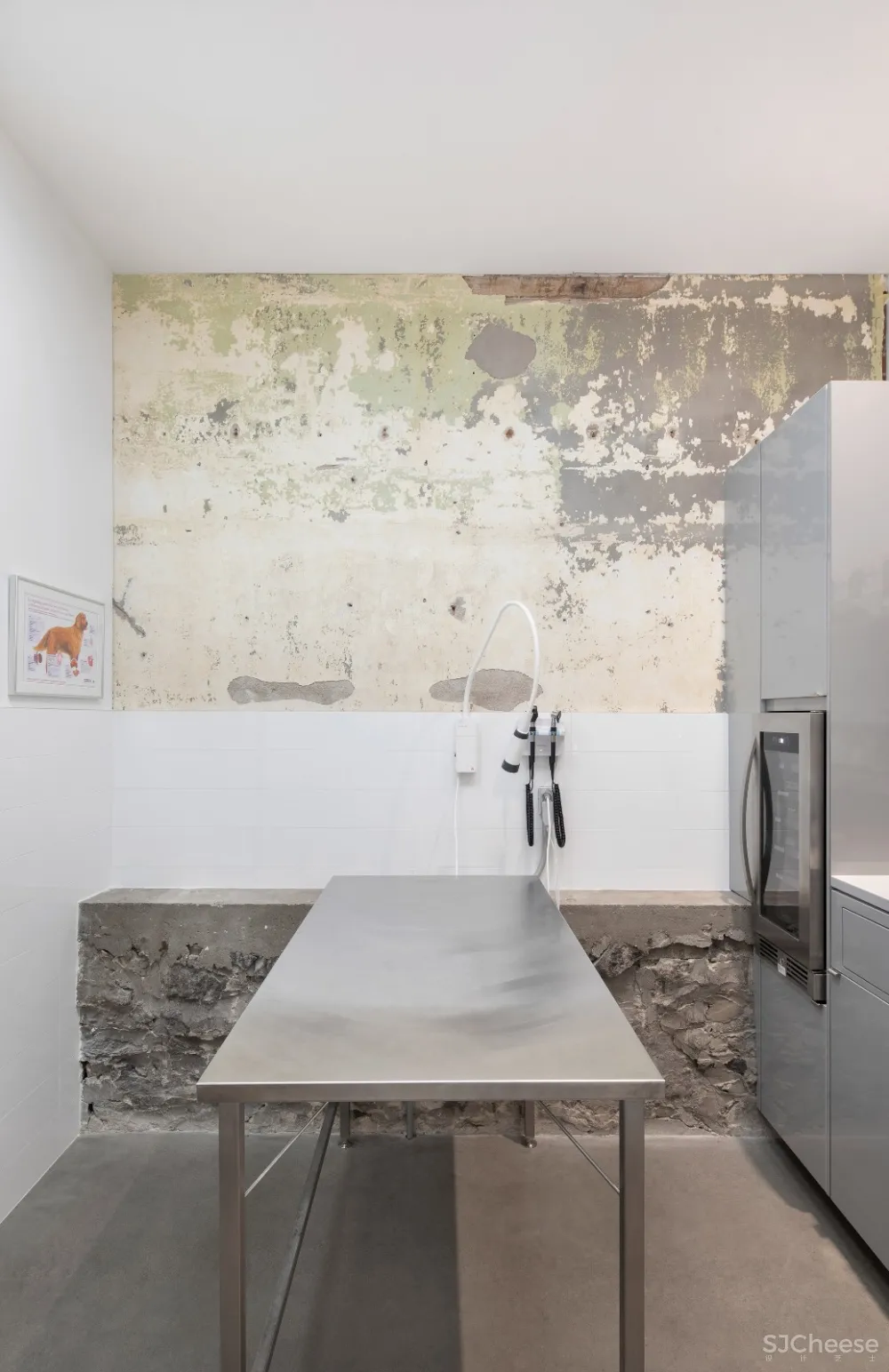 TBA:色彩舒缓的兽医诊所 首