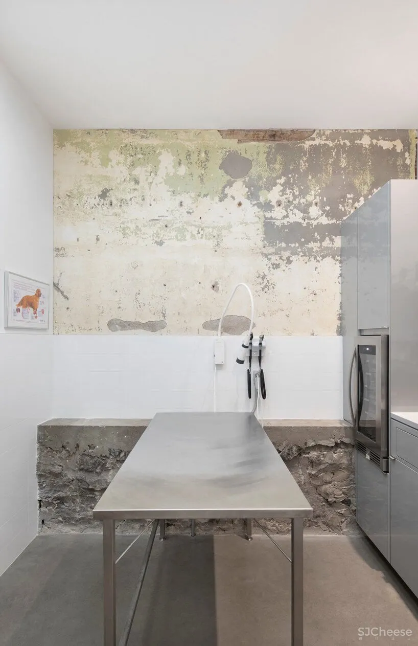 蒙特利尔废弃照相馆改造兽医医院和住宅设计