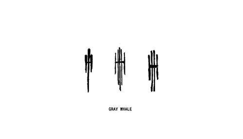 Grey whale 灰鲸餐厅——来自海洋最深处的凝视