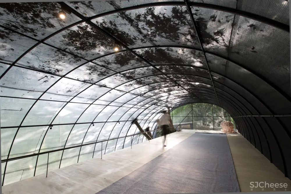 自然治愈系 / DIVOOE ZEIN Architects 首