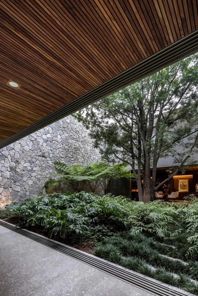 Alexanderson Arquitectos | 与自然的亲密接触 VR 花园别墅