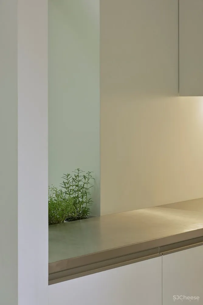 与环境的和谐融合 | A House in Rasu Namai