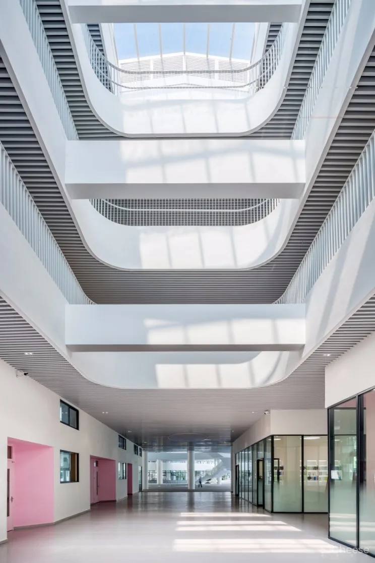 浙江温州道尔顿小学 | FAX ARCHITECTS