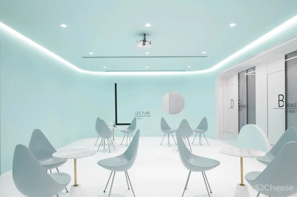 首发 | 我们和洛园一起,做了一个薄荷味的梦