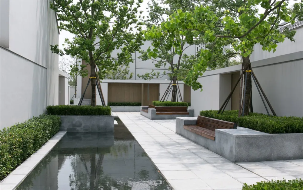 张唐景观:乌镇 Alila酒店 首