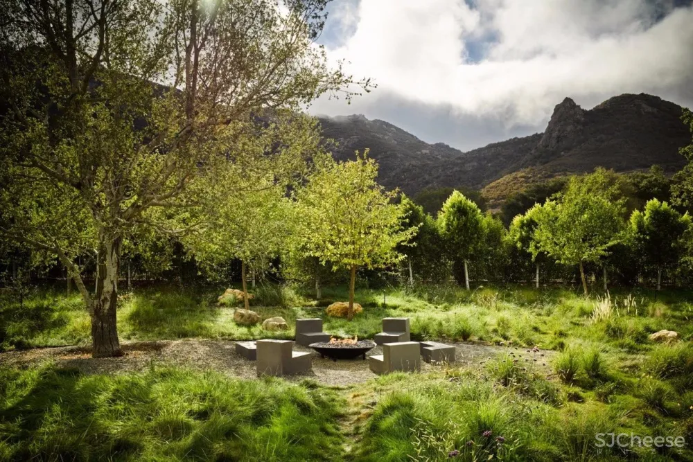 Nicole Hollis | 唤醒大自然的灵魂