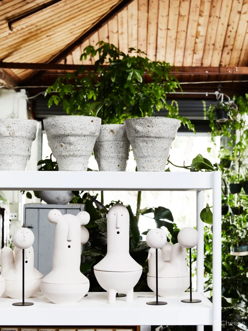 THE PLANT SOCIETY 植物协会新旗舰店